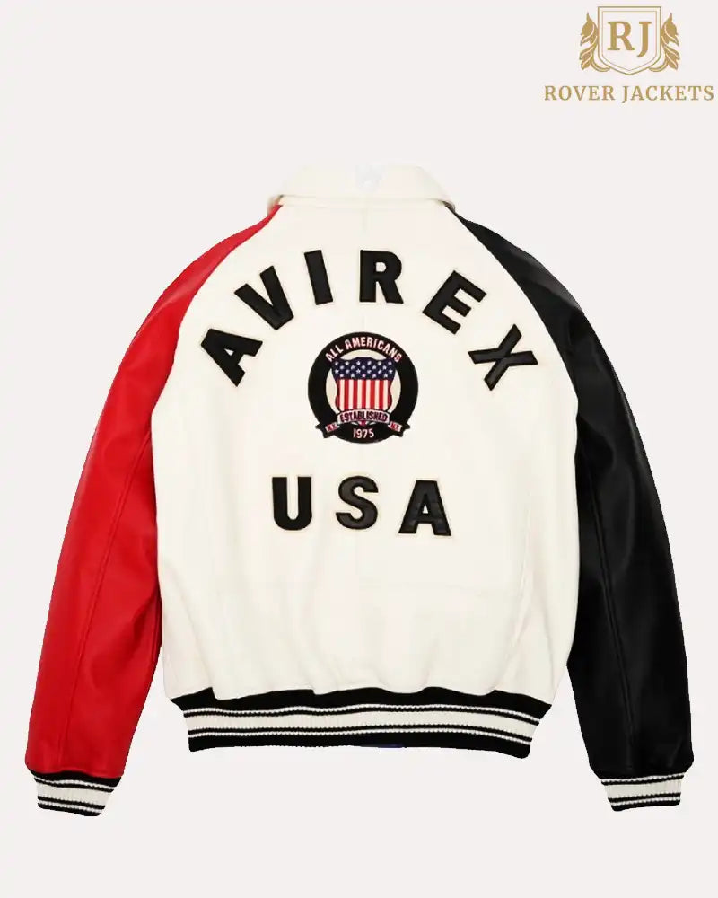 Avirex Color Block Leather Jacket image 1
