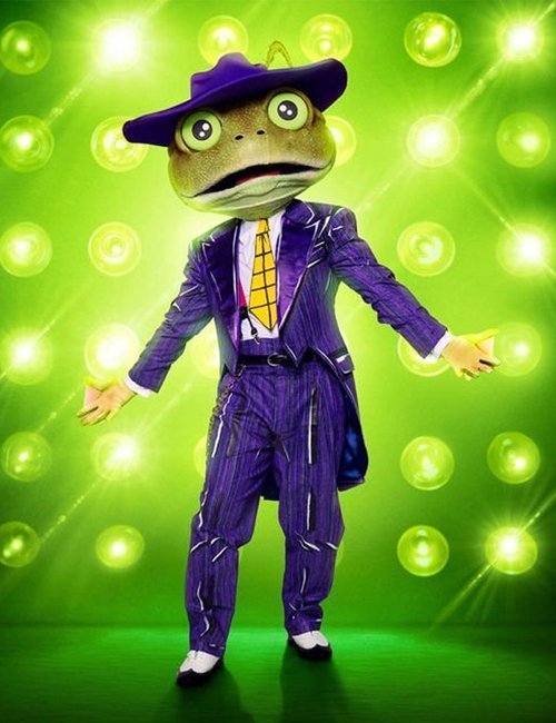 Bow Wow The Masked Singer Frog Suit image 0