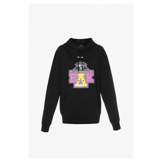 Beyonce Coachella Homecoming Hoodie image 0