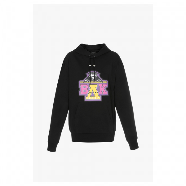 Beyonce Coachella Homecoming Hoodie image 0